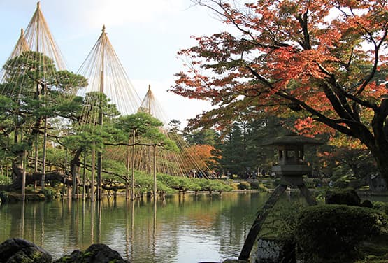 北陸米其林紅葉巡禮~兼六園.童話合掌村.高山古街.國寶犬山城.錢洗稻荷神社五日
