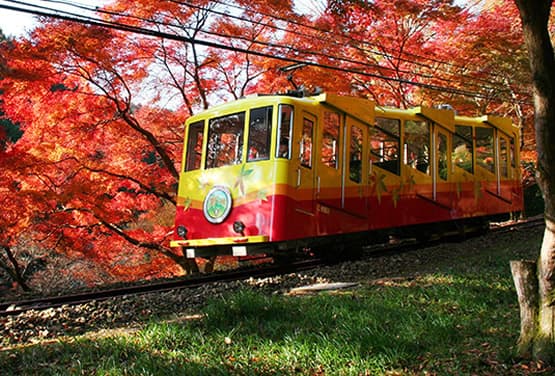 東京賞楓泡湯趣〜高尾山.溫泉樂園. 御射鹿池.長瀞溪谷遊船.雙溫泉五日