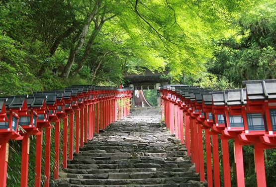 京都慢活之旅～鴨川漫步巡禮.貴船神社神秘水占卜.宇治平等院.大阪自由行五日