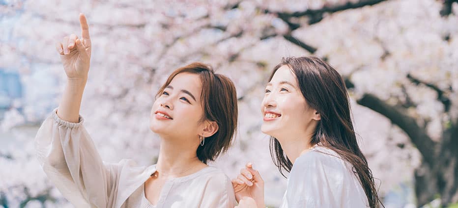 北海道櫻の饗宴~櫻花隧道‧星形櫻花海‧尼克斯‧函館纜車‧櫻花迴廊‧二溫泉五日(千/千)