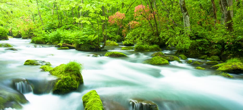 東北輕旅行~奧入瀨溪流.弘前城.銀山溫泉.角館.雙溫泉五日
