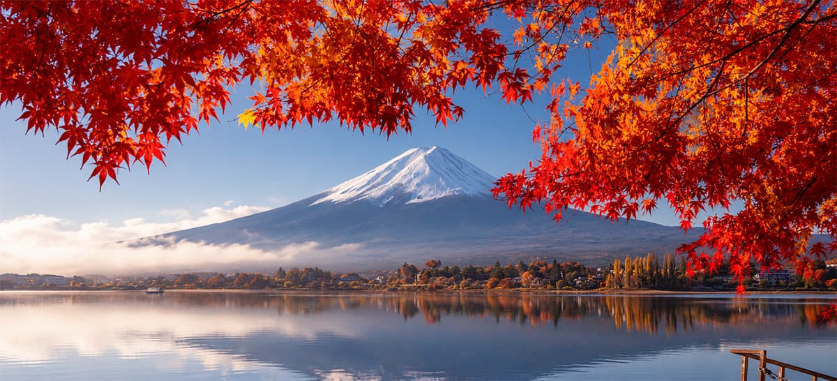 東京賞玩秋楓~大茶會.大石公園.新宿御苑.紅葉迴廊.箱根鐵道行.敘敘苑美食.雙溫泉五日