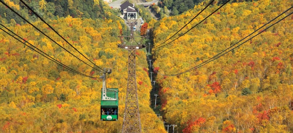 北海道楓紅似火~雲霄飛車之路.療癒波波草.黑岳纜車.豐平峽.三大蟹.三溫泉五日(千/千)